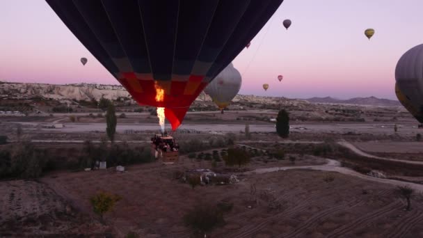 早上，许多热气球在土耳其上空盘旋，拍得很慢 — 图库视频影像
