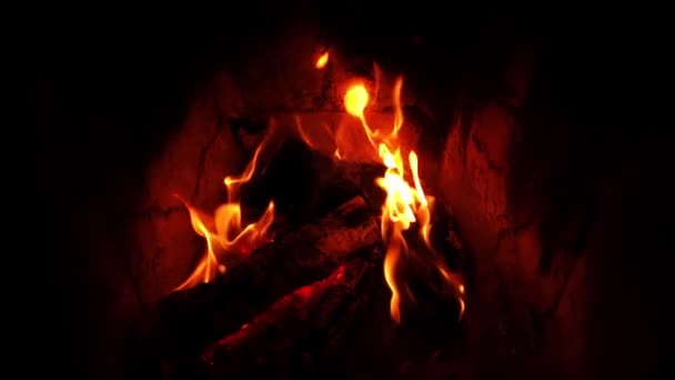 Arderea focului de tabără cu bușteni și jar este filmată de sus în mișcare lentă în întuneric — Videoclip de stoc
