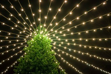 Noel ağacı gece vakti parkta duruyor tepenin etrafında yanıp sönen ışıklarla süslenmiş.