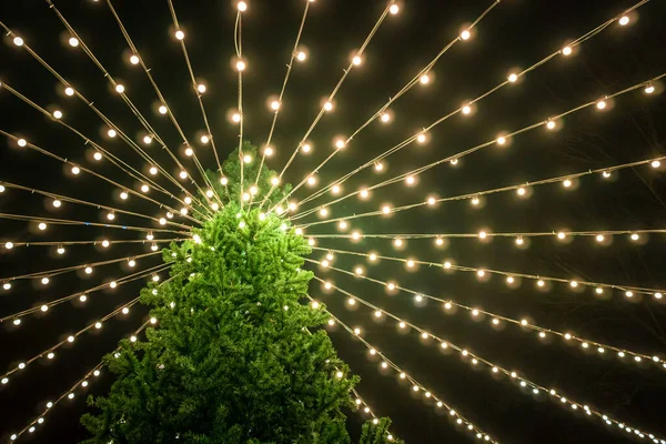 Рождественская елка стоит в парке в ночное время украшенная мигающими огнями вокруг вершины — стоковое фото