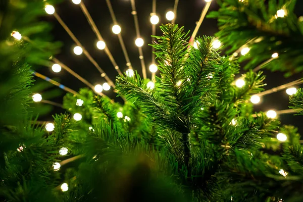 Closeup footage of the pine twig with festive new year decorations on the background — Stock Photo, Image