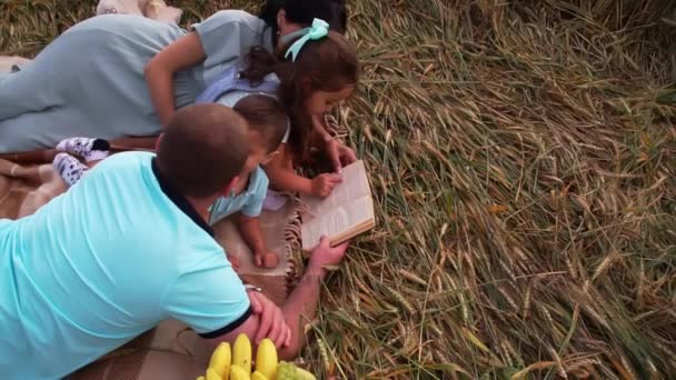 Сім'я лежить на ковдрі в пшеничному полі і читає книгу разом у повільному темпі — стокове відео