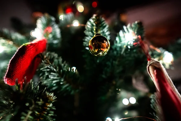 Images en angle bas de la brindille de pin de Noël festif décoré pour célébrer des vacances — Photo