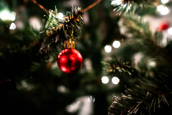 Boule rouge vif est accroché sur la brindille du sapin de Noël filmé en gros plan — Photo
