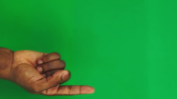15 gestures Package for controlling the touch screen with a male Black hand on a green screen — Video