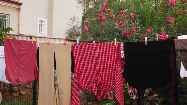 Fresh clean clothes are hanging on the washing line hold by clothespins on the backyard — Video Stock