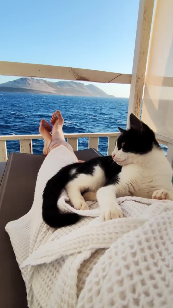 Άνθρωπος πόδια που βρίσκονται στην ξαπλώστρα στο σαλόνι ζώνη μπροστά από τον ωκεανό με τη γάτα στα γόνατα — Αρχείο Βίντεο