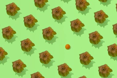 Nane yeşili arka plana karşı egzotik meyve deseni. Asgari yaratıcı konsept, diğerleri arasında benzersiz. 