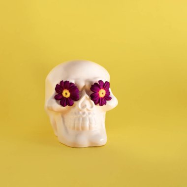İnsan kafatası modeli, mor bahar çiçekleri. Pastel sarı arka plana karşı yaratıcı düzenleme. Ölü bayram kutlaması günü.