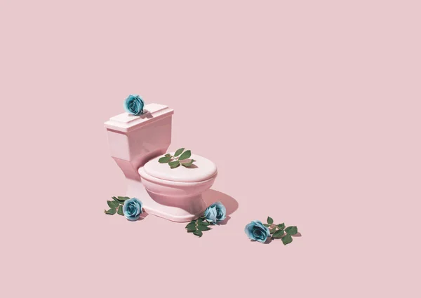 粉色马桶装饰着淡蓝色的玫瑰 富有创意的卫生习惯和新鲜的自然清洁产品 这些都是粉色背景设计的灵感来源 — 图库照片