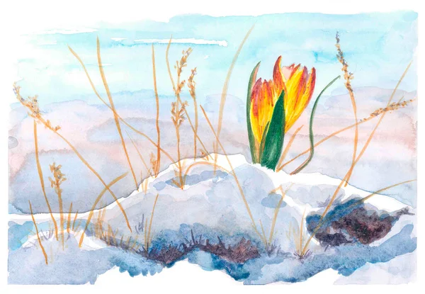 Delicate Handmade Watercolor Spring Illustration Realistic Landscape Filled Sunlight Fresh — Stock Photo, Image