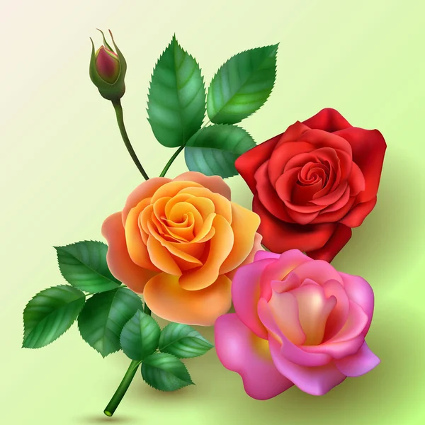 Букет роз на ветке — стоковый вектор