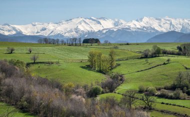 Arkasında Pyrnes dağları olan güneybatı Fransa manzarası