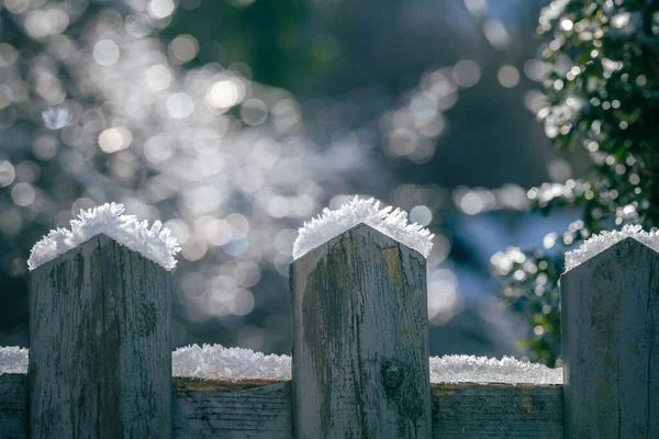 Забор Саду Покрытый Морозом Зимой — стоковое фото