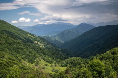 Güneybatı Fransa 'nın yeşil manzarası Pireneler dağlarında