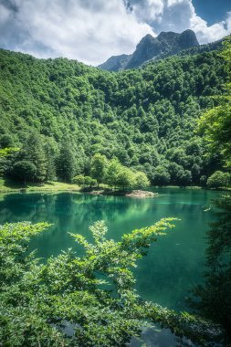 Zümrüt yeşili Bethmale göleti Ariege Pirenes Fransa