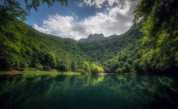Smaragdově Zelený Rybník Bethmale Ariege Pyrenees Francie — Stock fotografie