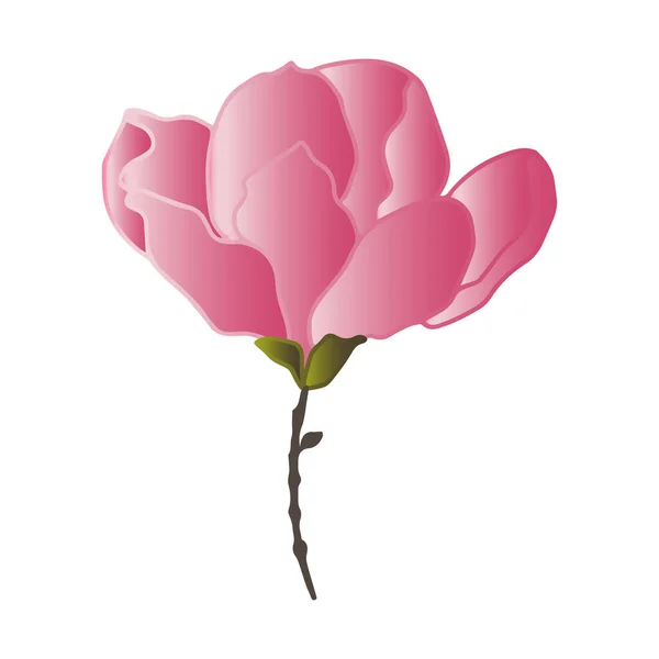 Modelli Vettoriali Fiori Magnolia Con Rami Foglie Illustrazione Botanica Carta — Vettoriale Stock