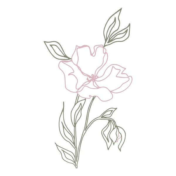 Векторний Візерунок Квіти Листям Ботанічна Ілюстрація Шпалер Текстилю Тканини Одягу — стоковий вектор