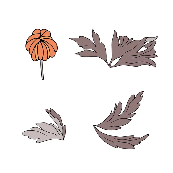 Vectorset Van Papaverbloemen Met Bladeren Botanische Illustratie Voor Behang Textiel — Stockvector