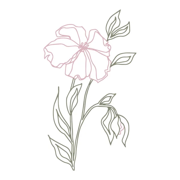 Padrão Vetorial Flores Com Folhas Ilustração Botânica Para Papel Parede — Vetor de Stock