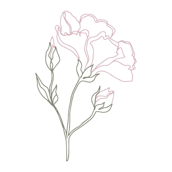 Fleurs Vectorielles Avec Des Feuilles Illustration Botanique Pour Papier Peint — Image vectorielle
