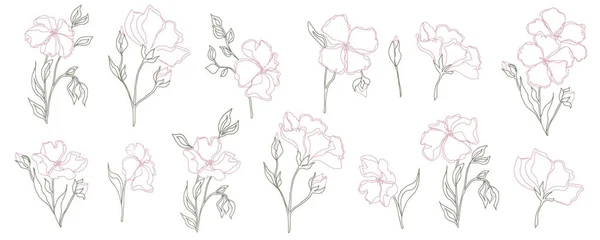 Διάνυσμα Σύνολο Λουλούδια Μοτίβο Φύλλα Βοτανική Απεικόνιση Για Ταπετσαρία Ύφασμα — Διανυσματικό Αρχείο