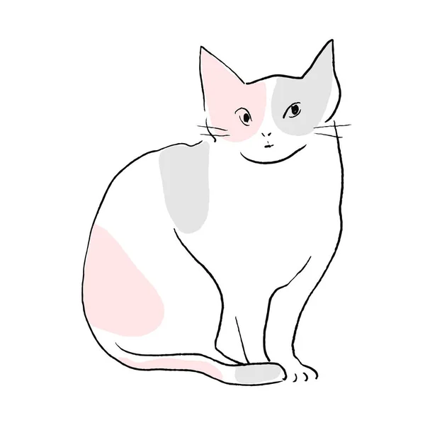 Vector Line Drawing Illustration Tortoiseshell Cat — 图库矢量图片