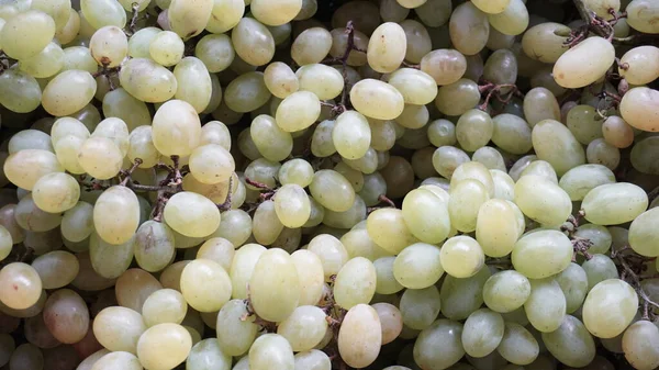Lots of grapes. Clusters of grapes of different sizes, have a different shade of green