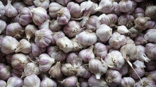 A large amount of garlic in a chaotic arrangement. Garlic is gray in color, large and small in the outer husk
