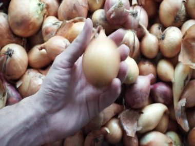 Bir adamın elinde soğan