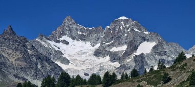 Güneşli bir yaz sabahı, Grindelwald 'a giden dağ manzarası, İsviçre