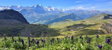 İsviçre 'de Grindelwald' da dağ manzarası