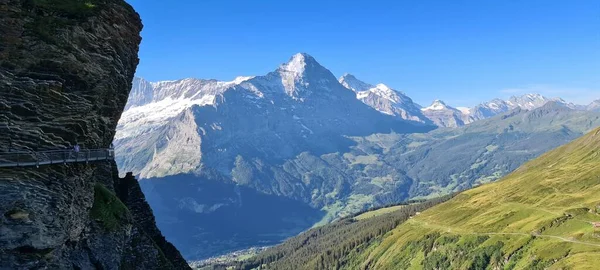 İsviçre 'nin Berner Oberland kentindeki Grindelwald' da vadi ve karla kaplı dağların manzarası