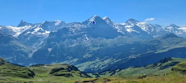 Paraglider Grindelwaldu Švýcarsku — Stock fotografie