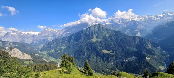 Panorama Montaña Grindelwald Suiza — Foto de Stock