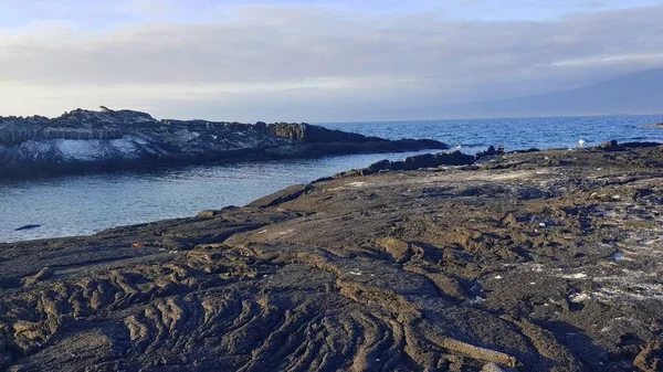 ガラパゴスのフェルナンディナ島の海の隣の黒い岩 — ストック写真