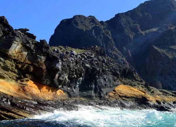 Deniz Siyah Kayalara Galapagos Adalarına Ekvador Çarpıyor — Stok fotoğraf