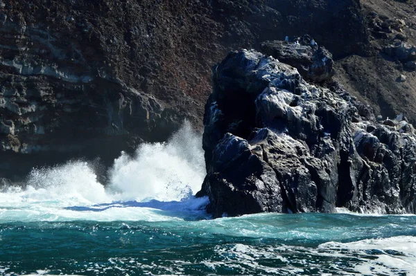 Deniz Siyah Kayalara Galapagos Adalarına Ekvador Çarpıyor — Stok fotoğraf