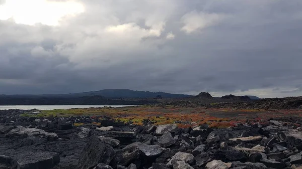 Colourful Vegetation Chinese Hat Island Galapagos — Zdjęcie stockowe