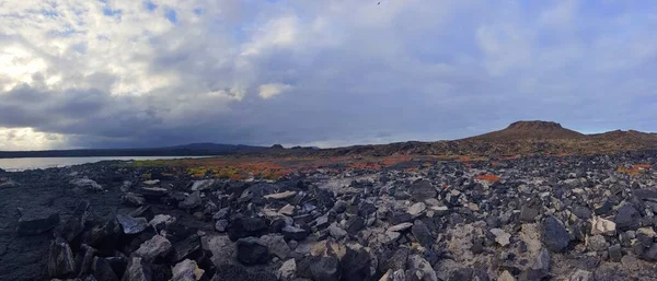 Kleurrijke Vegetatie Het Chinese Hoed Eiland Galapagos — Stockfoto