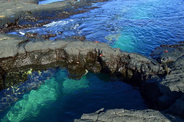 Black Lava Rocks Santiago Island Στο Αρχιπέλαγος Γκαλαπάγκος Εκουαδόρ — Φωτογραφία Αρχείου