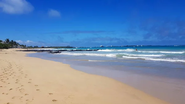 Praia Areia Ilha Isabela Arquipélago Galápagos Equador — Fotografia de Stock