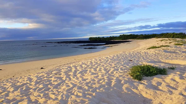 Morning Sunrays Bachas Beach Santa Cruz Galapagos Ecuador Photo De Stock