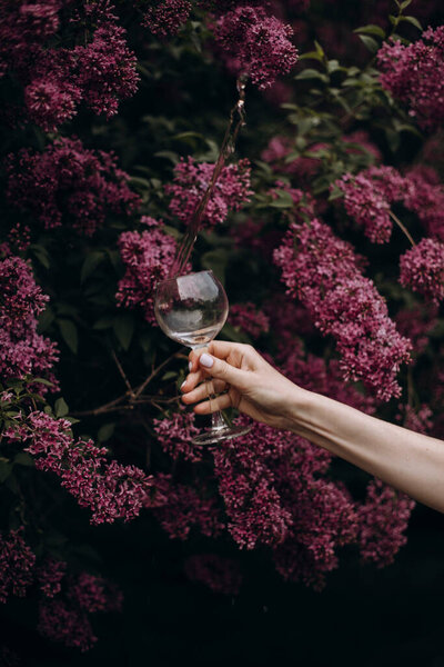 Hand Transparent Glass Blooming Lilac Female Hand Rose Wine Background Stock Photo