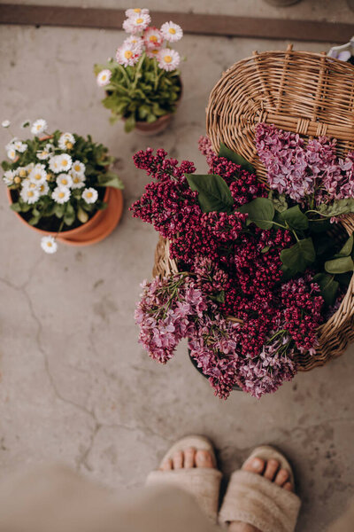Bouquet Lilacs Straw Vase Bag Lilac Flowers Wicker Bag Top Royalty Free Stock Photos