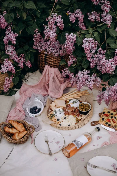 Picnic Setting Two White Blanket Picnic Outdoors Cheese Plate Pastries — Foto de Stock