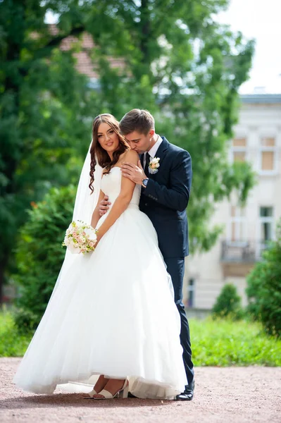 Mooi Huwelijk Paar Liefde — Stockfoto