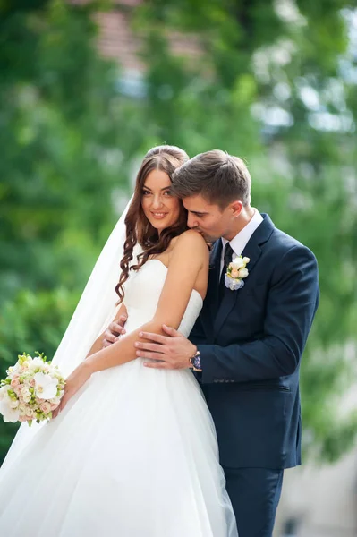 Beautiful Wedding Couple Posing Park — Stock Photo, Image
