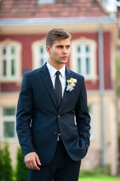 Handsome Groom Suit Bow Tie — Φωτογραφία Αρχείου